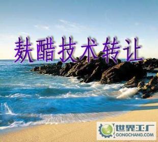 麩醋配方轉讓與生產技術轉讓，工廠交匙工程及認證咨詢服務