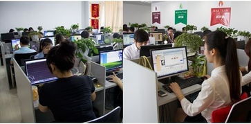 假期結束的惆悵與教育咨詢的冷靜反思